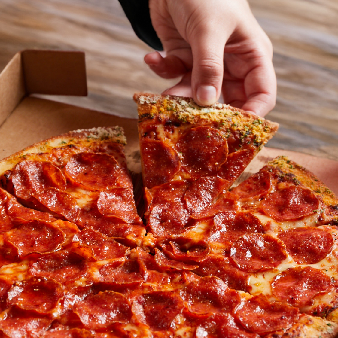 Terms and Conditions